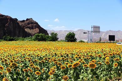 《星刃》战斗灵感来自于《战神》《只狼》《鬼泣》等游戏