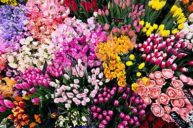 《帝国时代4》Steam现已发售 国区248元特别好评