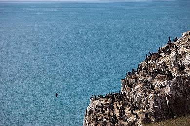 GTAOL的体验改进即将到来