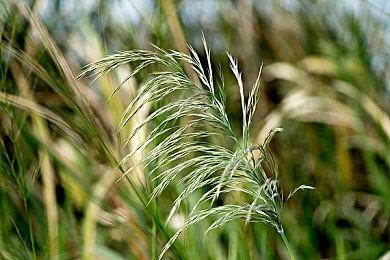 PS港服商城开启节日限定优惠 《艾尔登法环》首次打折